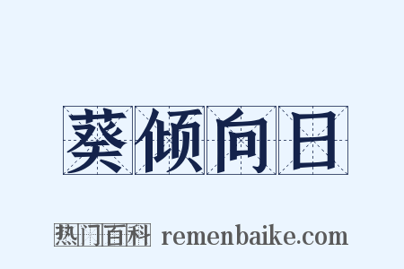 葵倾向日是什么意思的图片
